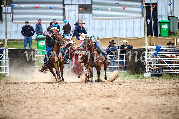 BungendoreRodeo2017_0195