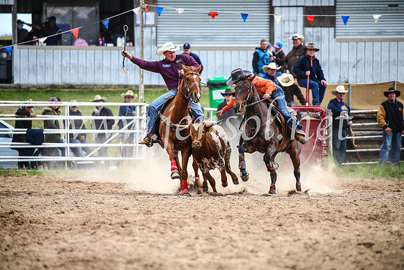 BungendoreRodeo2017_0200