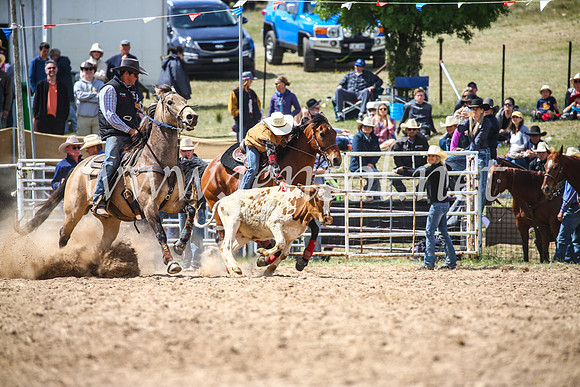 BungendoreRodeo2017_4172