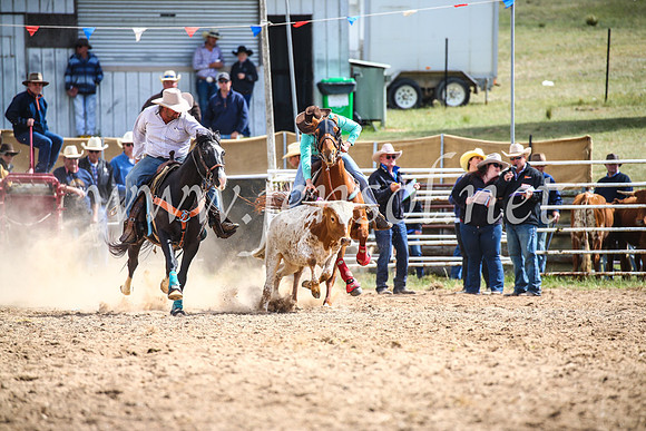 BungendoreRodeo2017_0398