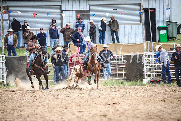 BungendoreRodeo2017_0362