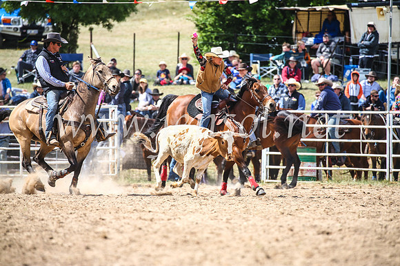 BungendoreRodeo2017_4176