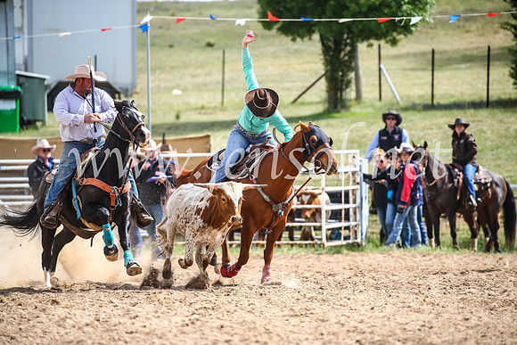 BungendoreRodeo2017_0401