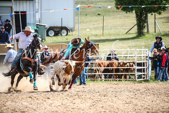 BungendoreRodeo2017_0399
