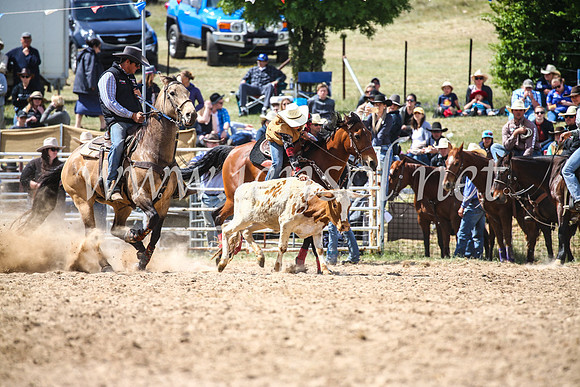 BungendoreRodeo2017_4178