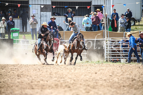 BungendoreRodeo2017_4187