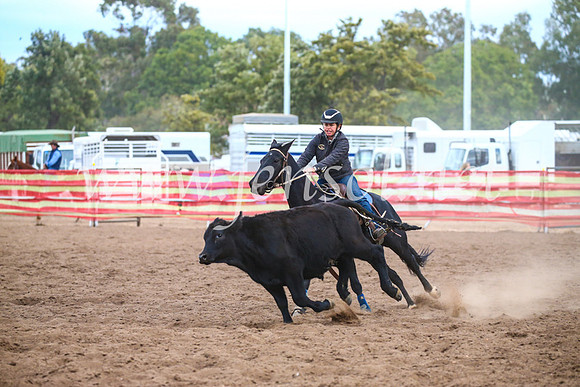 CoonambleRodeoCampdraftSat_1149