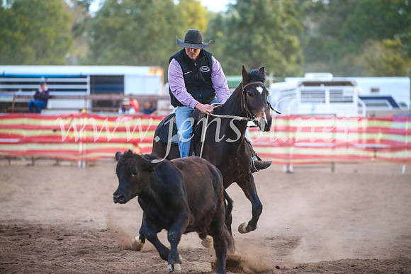 CoonambleRodeoCampdraftSat_1273