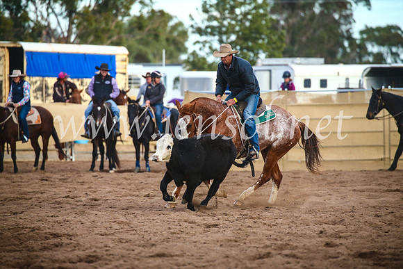 CoonambleRodeoCampdraftSat_1198