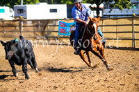 CoonambleRodeoCampdraftSat_0798