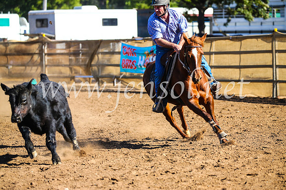 CoonambleRodeoCampdraftSat_0798