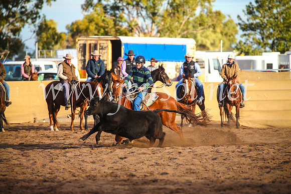 CoonambleRodeoCampdraftSat_1228