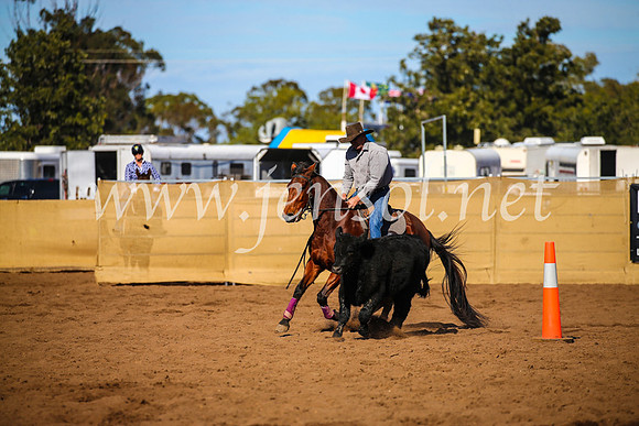 CoonambleRodeoCampdraftSat_0759