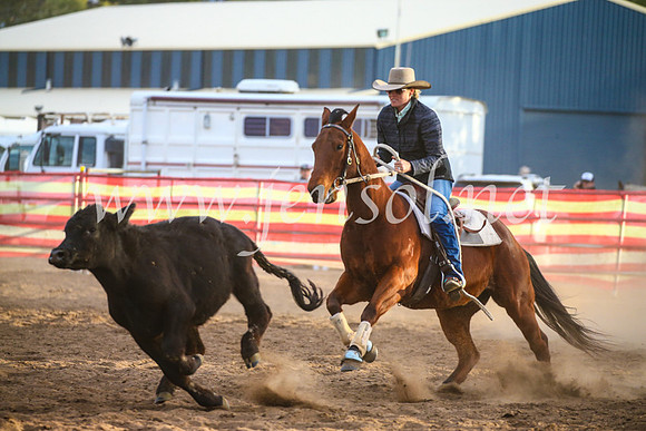 CoonambleRodeoCampdraftSat_1222