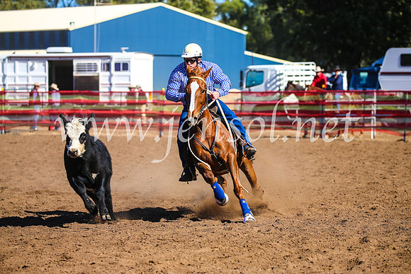 CoonambleRodeoCampdraftSat_0774
