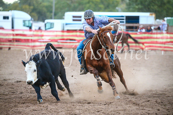 CoonambleRodeoCampdraftSat_1292