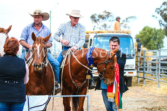 CoonambleRodeoCampdraftSat_1308