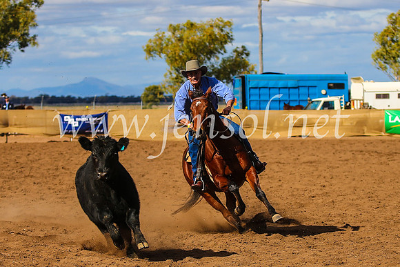 CoonambleRodeoCampdraftSat_0981