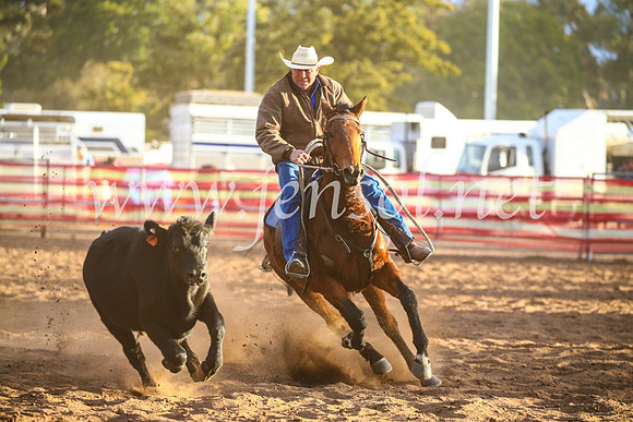 CoonambleRodeoCampdraftSat_1256