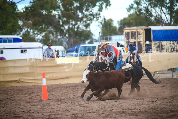 CoonambleRodeoCampdraftSat_1162