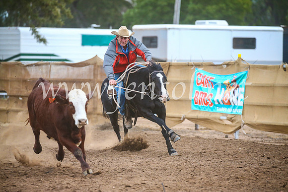 CoonambleRodeoCampdraftSat_1157