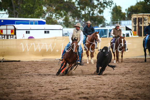 CoonambleRodeoCampdraftSat_1221