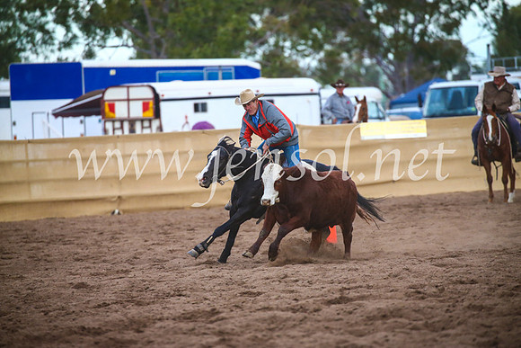 CoonambleRodeoCampdraftSat_1172