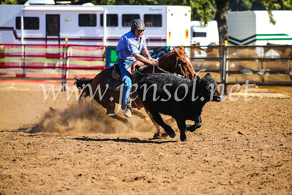 CoonambleRodeoCampdraftSat_0788