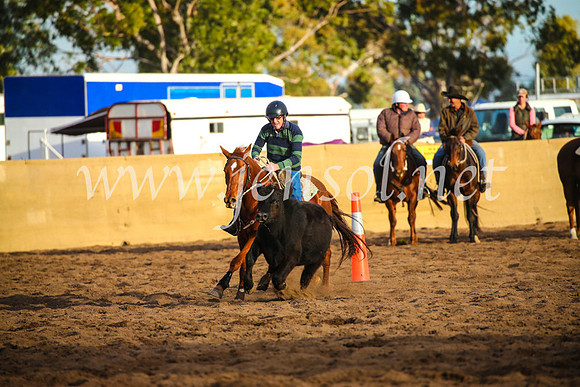 CoonambleRodeoCampdraftSat_1230