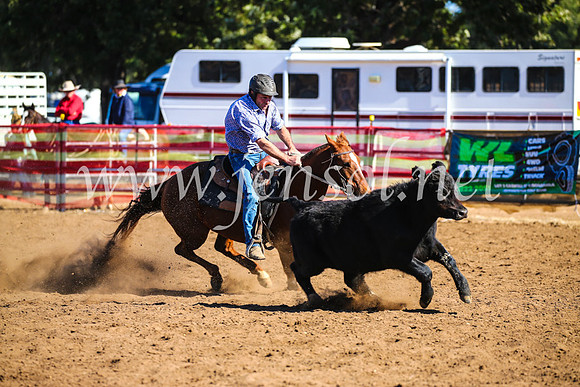 CoonambleRodeoCampdraftSat_0796
