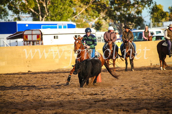 CoonambleRodeoCampdraftSat_1236