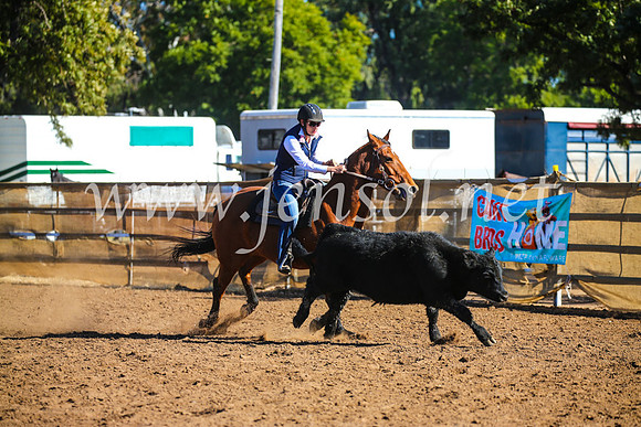 CoonambleRodeoCampdraftSat_0819