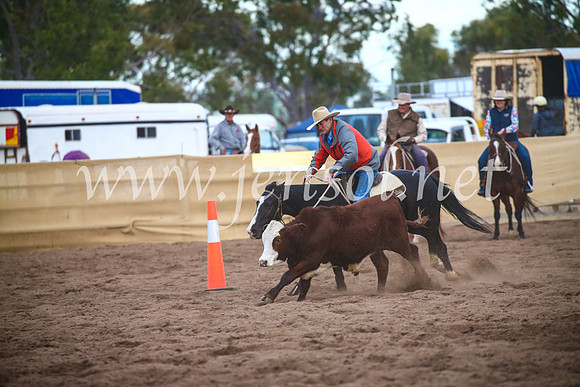 CoonambleRodeoCampdraftSat_1169