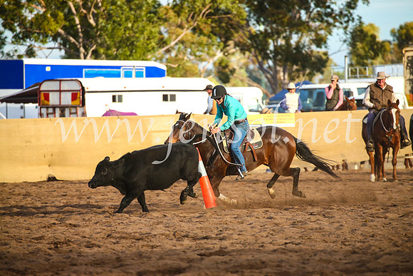 CoonambleRodeoCampdraftSat_1248