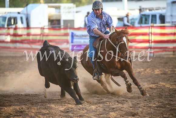 CoonambleRodeoCampdraftSat_1270
