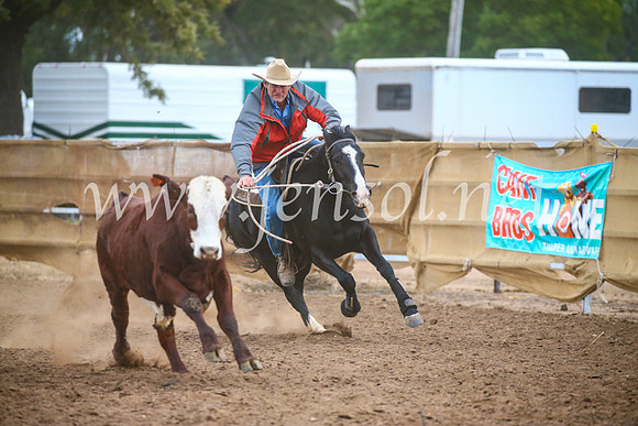 CoonambleRodeoCampdraftSat_1158