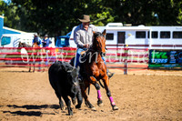 CoonambleRodeoCampdraftSat_0755