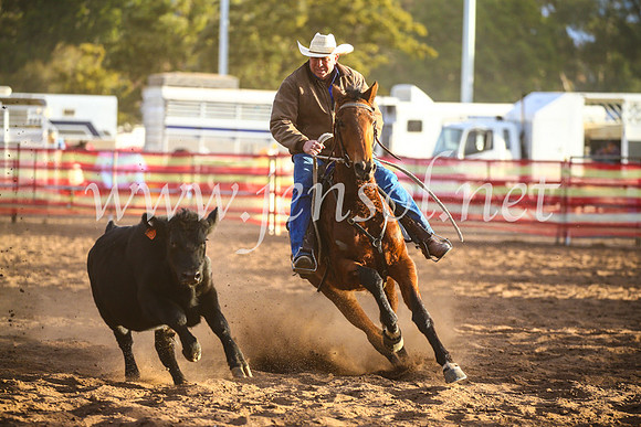 CoonambleRodeoCampdraftSat_1258