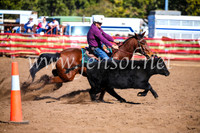 CoonambleRodeoCampdraftSat_0741