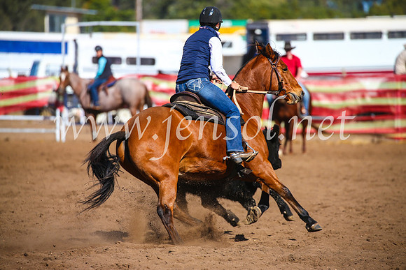 CoonambleRodeoCampdraftSat_0824