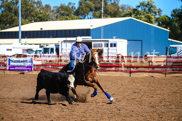 CoonambleRodeoCampdraftSat_0761