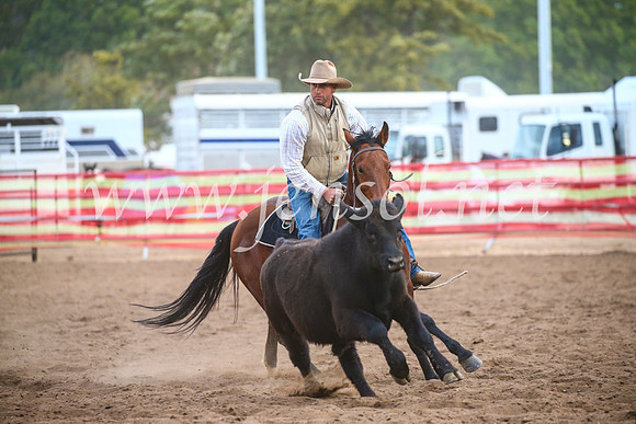 CoonambleRodeoCampdraftSat_1213