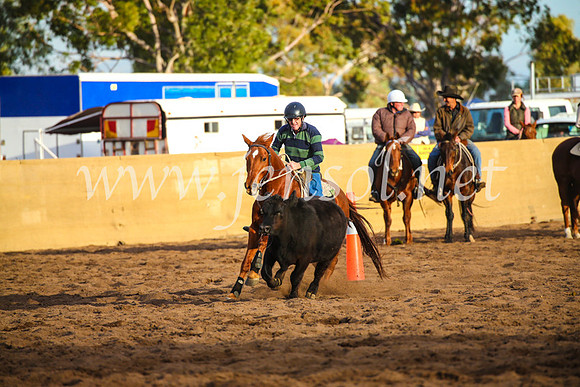CoonambleRodeoCampdraftSat_1235