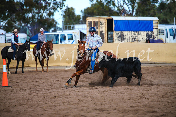 CoonambleRodeoCampdraftSat_0984