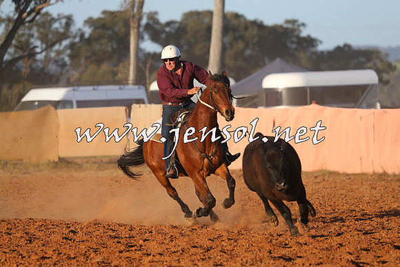 IllaboCampdraft2014_1559