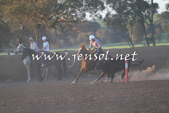 IllaboCampdraft2014_1665