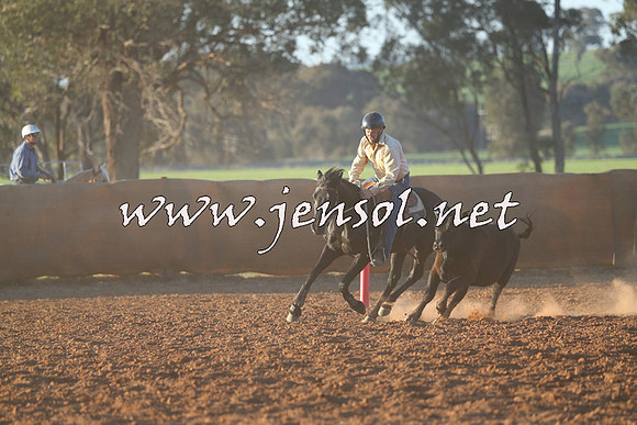 IllaboCampdraft2014_1580