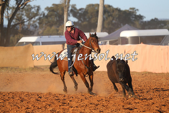 IllaboCampdraft2014_1558