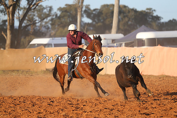 IllaboCampdraft2014_1557