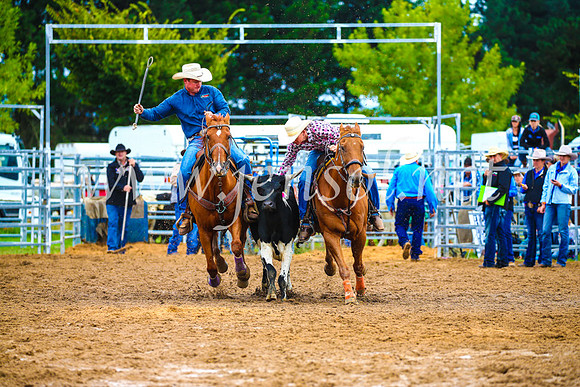 BraidwoodRodeo2017_0311